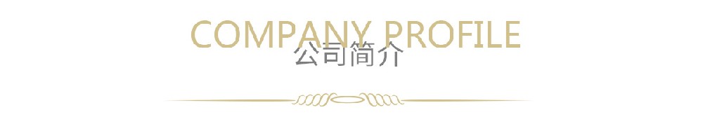 公司简介_02.jpg